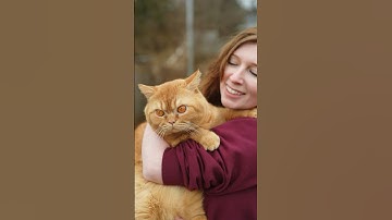 Shapeshifter 🐈 #magic