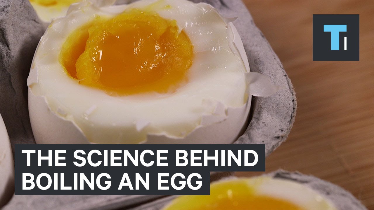 The science behind boiling an egg - YouTube