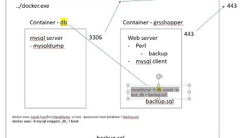 MySQL Database in Docker