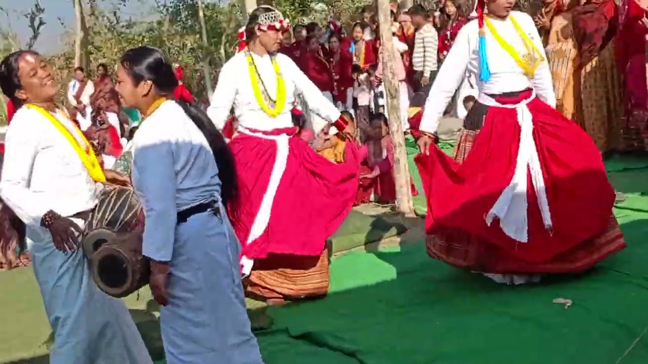 तुल्सीपुर १७ मानपुरको नाचो