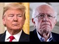 MSNBC: Bernie Wouldn't Have Won