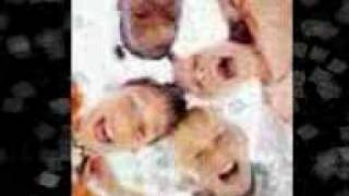 Download Lagu Bola de Meia Bola de Gude - 14 bis MP3 Download Lagu Bola de Meia Bola de Gude - 14 bis MP3