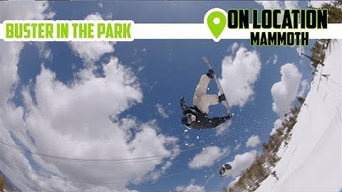 Buster In The Park | On Location