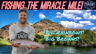 Wyoming Trout Fishing the North Platte River w/ Spinning Tackle! Wyoming Trout Fishing the North Platte River w/ Spinning Tackle!