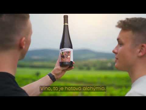 Video: Najlepšie vinárstva Stellenbosch na návštevu