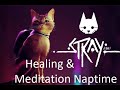 Cat purr Meditation & Healing with Stray - Morusque Vers. thumbnail