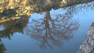 30秒の心象風景1154・柿の木～姫路城内濠～.m2ts