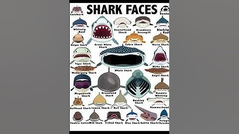 Episode 10 | Whale Shark. OMG... #NATanimals