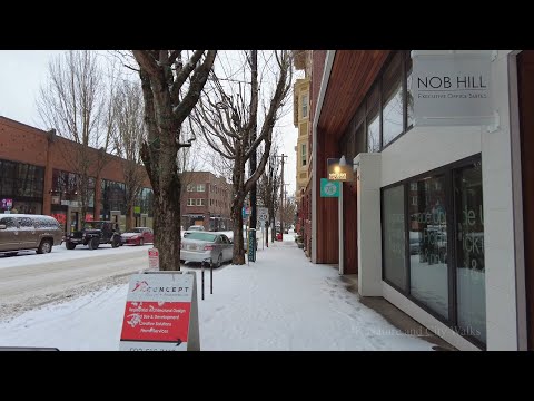 Portland Snowstorm Walk, Northwest "Alphabet District" 2021