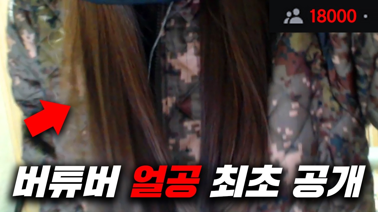 18000명이 본 버튜버 얼굴 공개 방송... 저 이제 버튜버 안 합니다