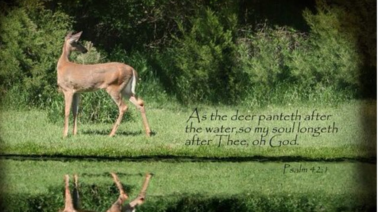 As The Deer Panteth For The Water - lyrics Song - YouTube