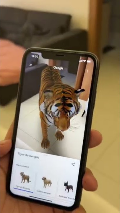 Animais 3D em tamanho real: Google disponibiliza animação para fotos e  vídeos; assista –