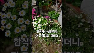 #초보가드너#작은정원가꾸기 #gardening #작은정원 생기가 가득합니다.