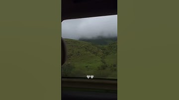{سورة البقرة الآية 73 الى 74} #المصحف