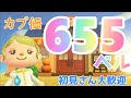 カブ価655ベル 島開放中！ あつまれどうぶつの森