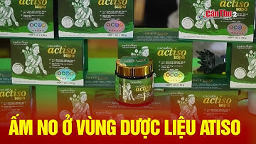 Ấm no ở vùng dược liệu Atiso | NNST