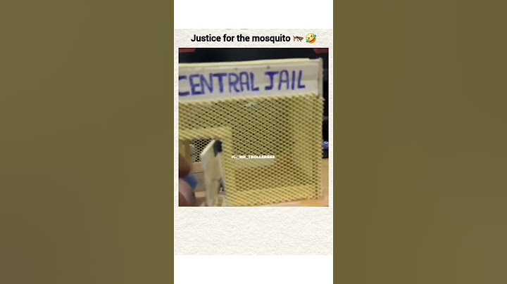 Justice For The Mosquito 😁 || Best Shorts Of All Time 🤣|| Funny Shorts 🤣#funny #video#reels#trending