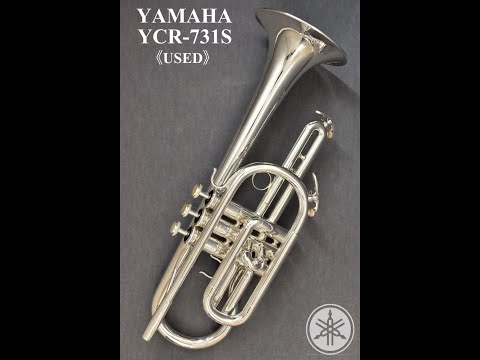 hqdefault.jpg