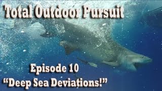 Deep Sea Fishing For Sharks Barracuda Grouper And Snapper Total Outdoor Pursuit Episode 10