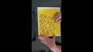 Elements of Art/patterns an repetition
