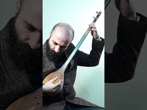 Setar Music Iranianmusic Iran Shorts