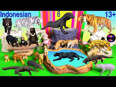 Indonesian Animals - NEW Komodo Dragon, Tiger, Leopard, Clouded Leopard, Sun Bear, Babirusa 13+