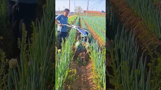 जापान से मंगाया स्पेशल पावर टिलर इसे लड़कियां भी चला सकतीहै#shots #shortvideo #shorts #viralvideo