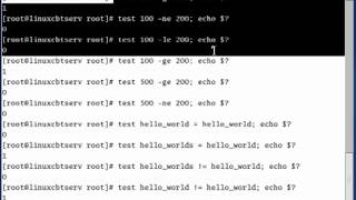 LCBT BASH 002 Shell Tests