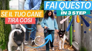 Come farò a far SMETTERE di TIRARE questo cane AGITATO al guinzaglio?