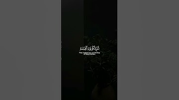 إِنَّكَ مَيِّتٌ وَإِنَّهُمْ مَيِّتُونَ|من سورة الزمر|القارئ ماهر المعيقلي😴❤️.