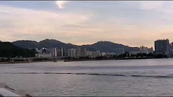 鳥語花香 圖詩並存！  学科頻道 + 學生園地