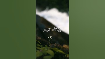 ارح سمعك قليلا #القرآن_الكريم #أرح_سمعك #ارح_قلبك #ماهر_المعيقلي #راحة_نفسية #تلاوة_خاشعة  #سورة_نوح