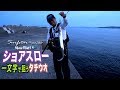 ショアスロー×タチウオ