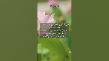 #سورة #البقرة #الآية #105