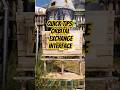 Getting Workshop items in Open World #icarus #tips #survival #openworld