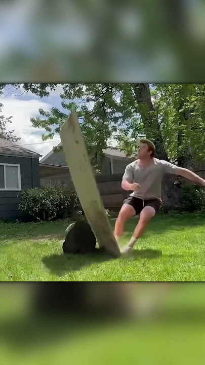 The Funniest and Craziest Animal Moments Ever!