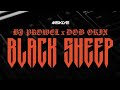 BJ Prowel Black Sheep Official Video Ft DOB OKIX mp3