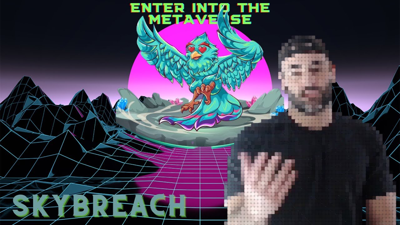 Enter Into The Metaverse: Skybreach & Nova Explained!