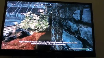 Skyrim Glitch: Whiterun Under Water