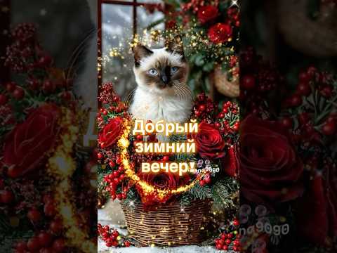 Добрый зимний вечер #добрыйвечер #зимнийвечер #хорошеговечера #открытка