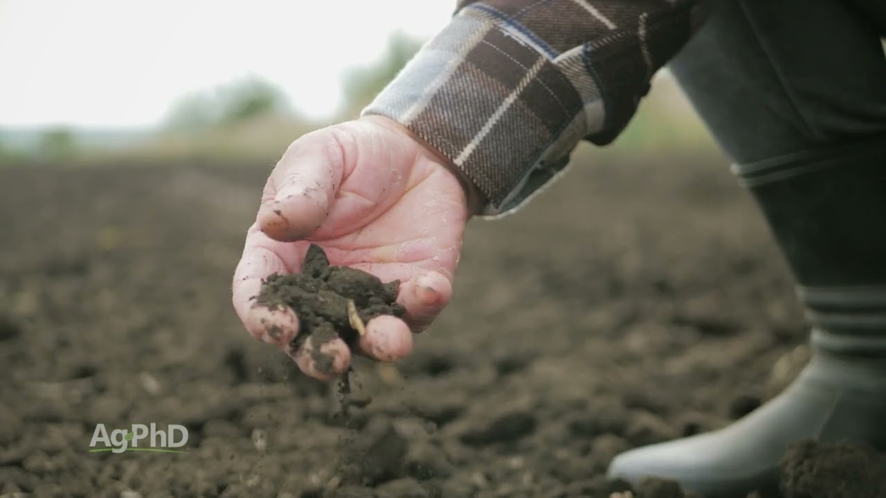 Почему фермеры меняют культуры? — Основы фермерского хозяйства