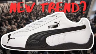 PUMA Speedcat Worth the Hype? Honest Review and Breakdown