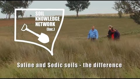 Saline and sodic soils - the difference