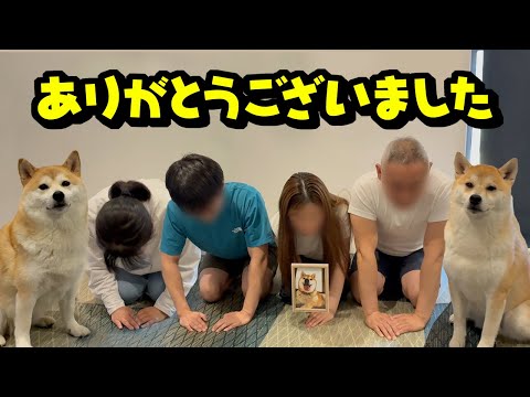 4年間こまちく家族を応援くださり、ありがとうございました…※最終回じゃないです