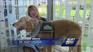 A look at how therapy dogs are changing care & outcome