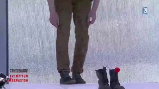 #Vimy : l'hymne à la beauté du monde, interprété par Isabelle Boulay