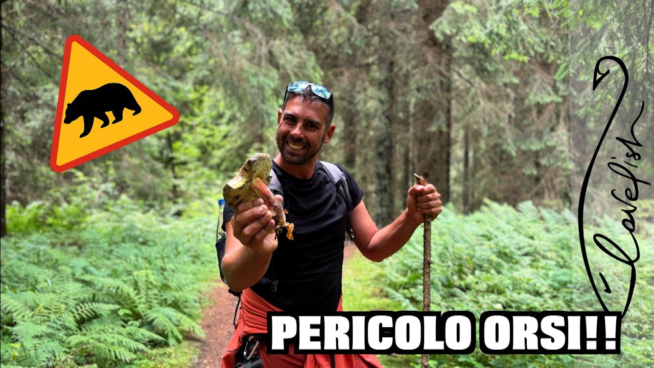 Alla scoperta del TRENTINO: tra FIUMI E FUNGHI!