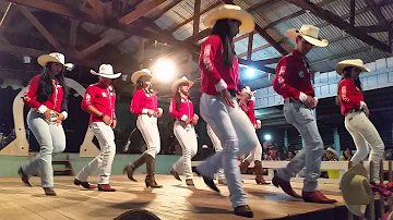 Como surgiu o country no Brasil?