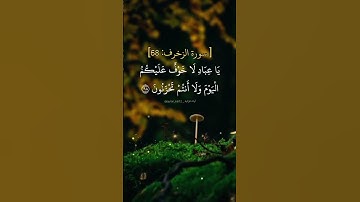 يا عبادي لا خوف عليكم اليوم و لا أنتم تحزنون. ماتيسر من سورة الزخرف بصوت الشيخ محمد صديق المنشاوي.