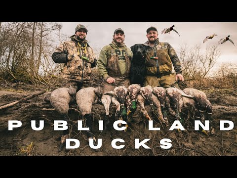 Public Land Duck Hunting - Western Washington Three Man